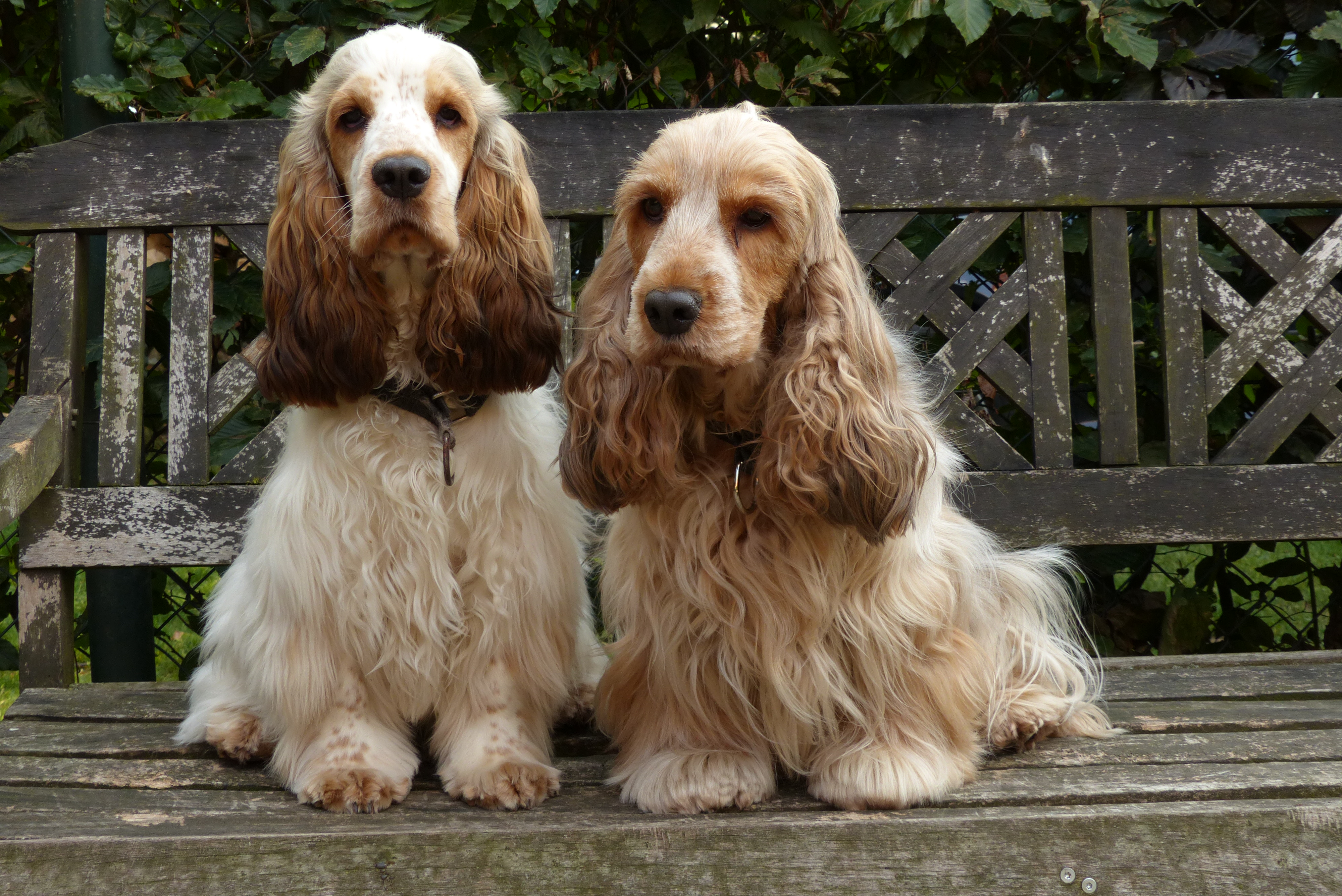 Bonita met dochter Lola