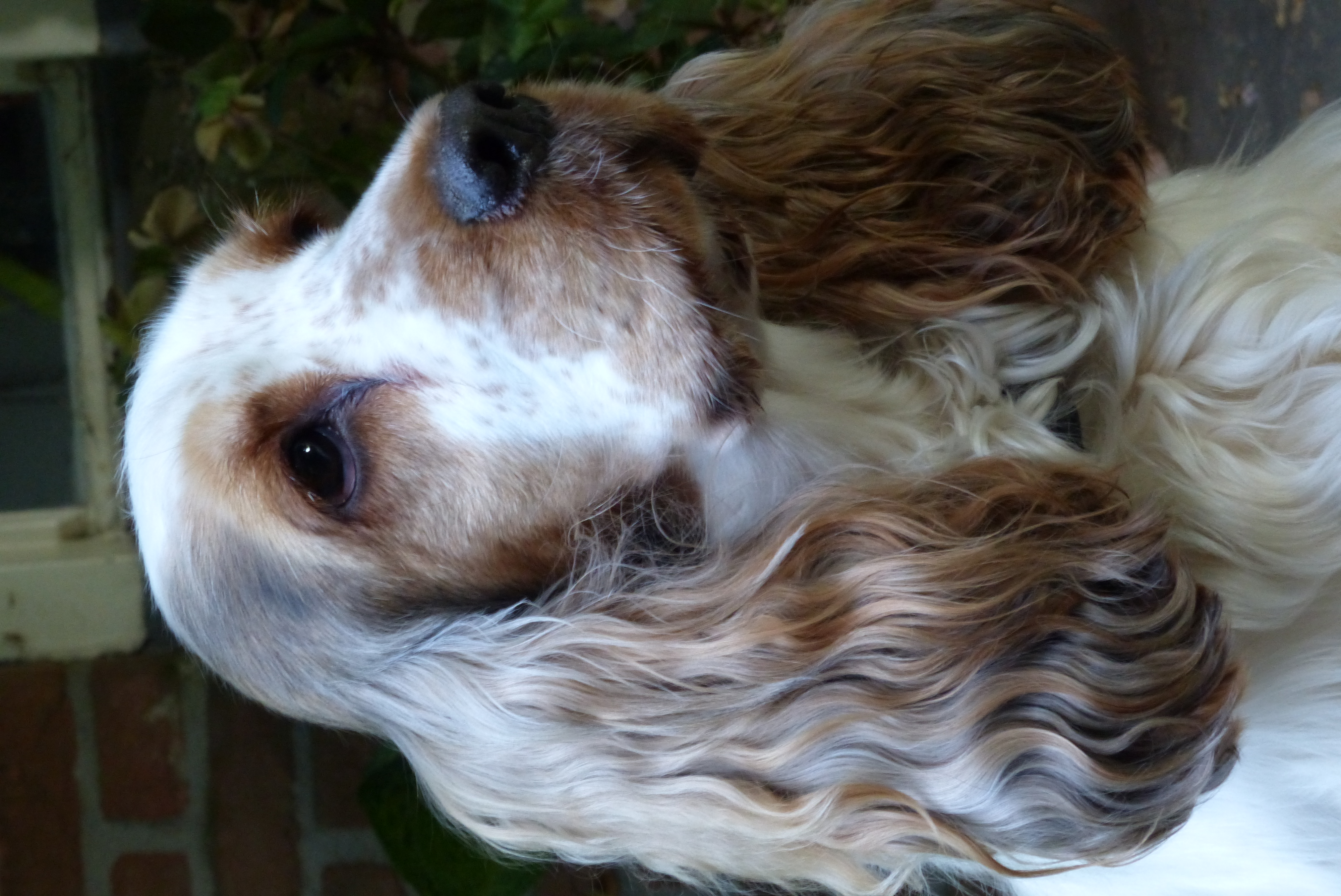 Lola en haar zwangerschap