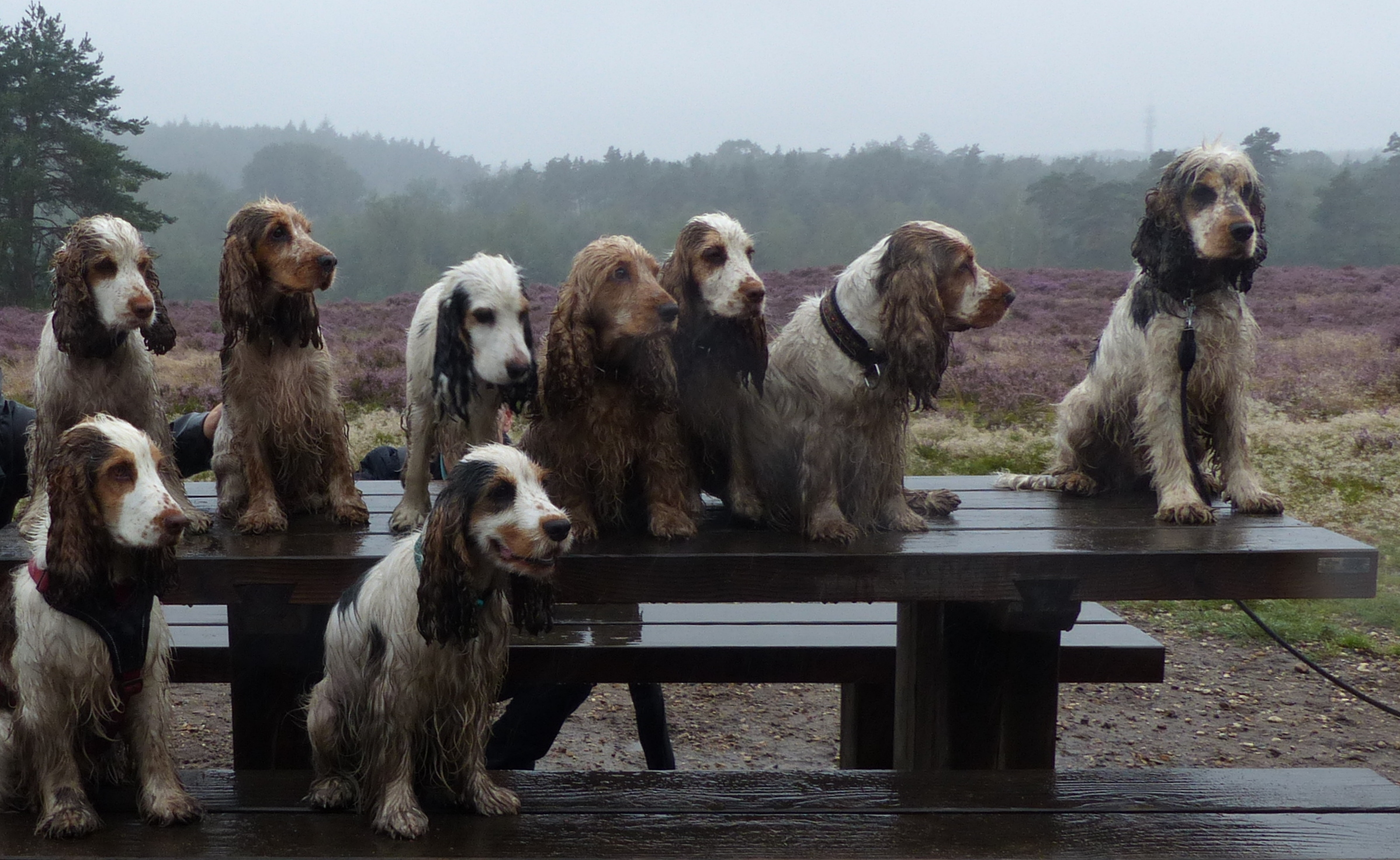 Verjaardagsfeestje in de regen